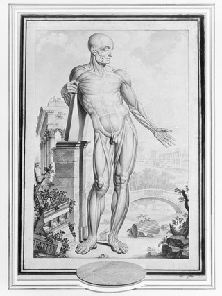 An anatomical figure (écorché) in a classical landscape. Drawing by A. Joron.