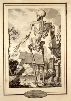 An anatomical figure (skeleton) in a classical landscape. Drawing by A. Joron.