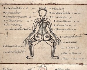 view Siamese Manuscript. Pressure Massage Manual.