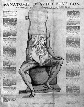 Anatomical fugitive sheet, female.