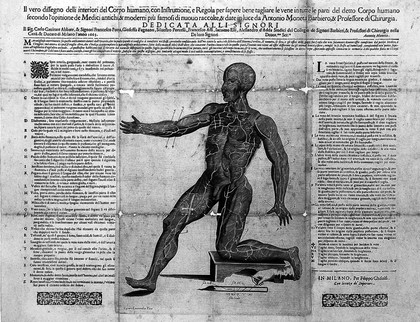 Il vero disegno degl'interiori del corpo umano : con instruttione, e regola, per sapere bene tagliare le vene in tutte le parti del detto corpo humano, secondo l'opinione de' medici antichi, & moderni più famosi / Di nuovo raccolte, & date in luce da Antonio Moneta.