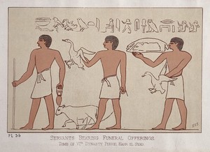 view Servants bearing funeral offerings. Tomb of VI Dynasty Period, Kasr el Syad, Plate 36.