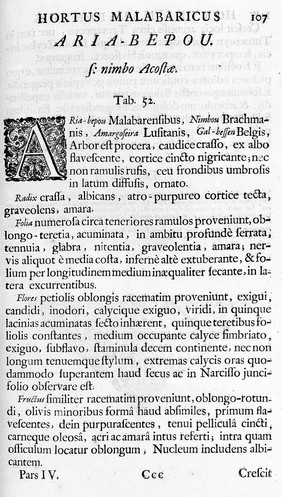 Hortus Indicus Malabaricus, continens regni Malabarici apud Indos cereberrimi onmis generis plantas rariores, Latinis, Malabaricis, Arabicis, et Bramanum characteribus hominibusque expressas ... addita ... descriptione, qua ... praecipuae in medicina vires ... demonstrantur / Adornatus per Henricum van Rheede, van Draakenstein [sic] et Johannem Casearium [vols. III-V, J. Munnicks, vol. VI, T.J. van Almeloveen] .... Notis adauxit et commentariis illustravit Arnoldus Syen [vols. II-XII, J. Commelinus]. [Vols. VII-XII, In ordinem redegit et Latinitate donavit Abrahamus a Poot].