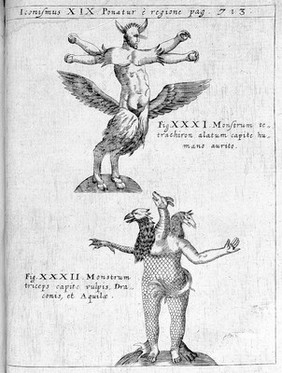 Physica curiosa, sive mirabilia naturae et artis libris XII. comprehensa. Quibus pleraque, quae de angelis, daemonibus, hominibus ... rara, arcana, curiosaque circumferuntur, ad veritatis trutinam expenduntur ... / [Gaspar Schott].