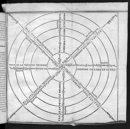 Expositio in librum Artis medicinalis Galeni / Nunc primum in lucem edita et castigata laboribus, et vigiliis Marco Oddi, medici ejusdem filii.