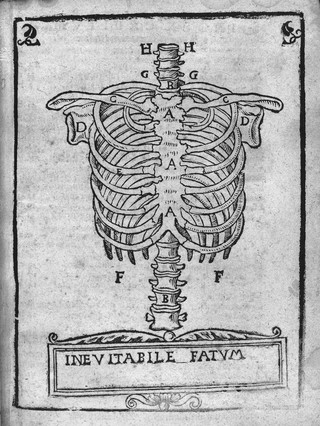 Anatomia Mundini, ad vetustissimorum, erundemque [sic] aliquot manu scriptorum, codicum fidem collata, justoque suo ordini restituta / Per Joannem Dryandrum.