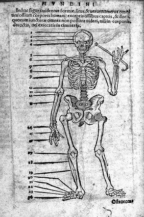 Anatomia Mundini, ad vetustissimorum, erundemque [sic] aliquot manu scriptorum, codicum fidem collata, justoque suo ordini restituta / Per Joannem Dryandrum.