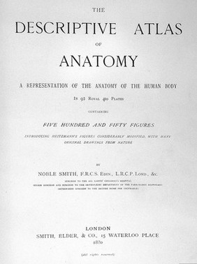 The descriptive atlas of anatomy : a representation of the anatomy of the human body / by Noble Smith.