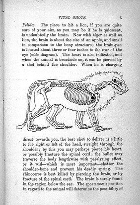 The sportsman's handbook to practical collecting, preserving, and artistic setting-up of trophies and specimens : to which is added a synoptical guide to the hunting grounds of the world / by Rowland Ward.