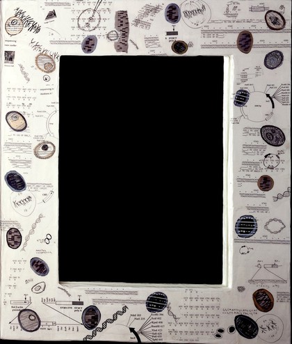 A mirror in which the surrounding world is copied by reflection, framed with formulae associated with the cloning of biological organisms. Mixed media by Sophie Dauvois, 1998.