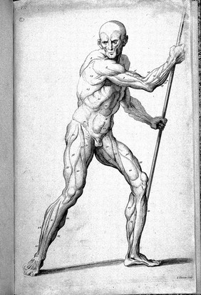 Compendium anatomicum, or A compendious treatise of anatomy adapted to the arts of painting and sculpture: in which the external muscles of the human body are represented as they appear when cleared of the skin, the membrana adiposa, and the veins and arteries that lie on their surface.