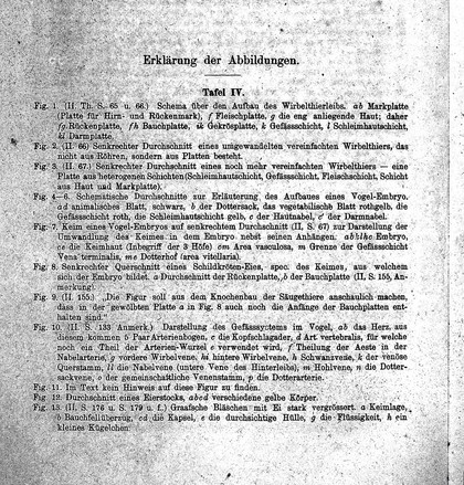 Über Entwickelungsgeschichte der Thiere. Beobachtung und Reflexion / [Karl Ernst von Baer].