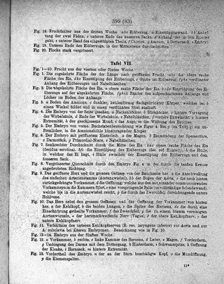 Über Entwickelungsgeschichte der Thiere. Beobachtung und Reflexion / [Karl Ernst von Baer].