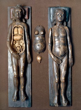 Wooden Anatomical Figures: Male and female (female 'open' to reveal feotus in womb). anon. n.d.