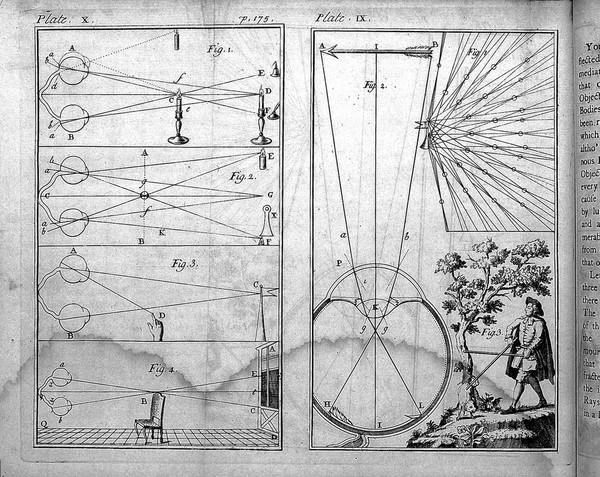 A physical essay on the senses / Translated from the French.