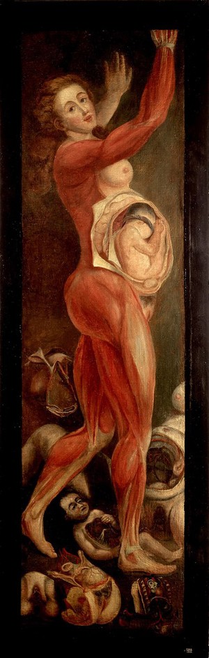 view A pregnant woman, dissected, lateral view, with arms upraised, accompanied by separate sections of the body. Oil painting by Jacques-Fabien Gautier D'Agoty, 1764/1765.