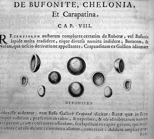Michaelis Mercati Samminiatensis Metallotheca. Opus posthumum, auctoritate, & muificentiâ Clementis undecimi pontificis maximi e tenebris in lucem eductum; opera autem, & studio Joannis Mariae Lancisii archiatri pontificii illustratum. Cui accessit appendix cum XIX. recens inventis iconibus / [Michele Mercati].