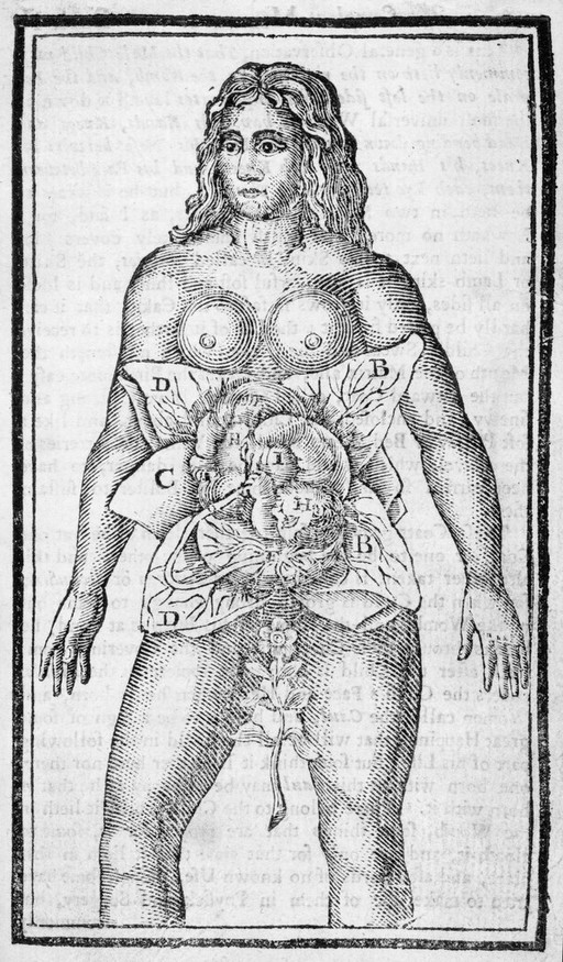 J. Sharp, "The Compleat Midwife's Companion..."
