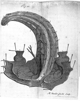 The anatomy of the brain. Containing its mechanism and physiology; together with some new discoveries and corrections of ancient and modern authors upon that subject to which is annex'd a particular account of animal functions and muscular motion ... / [Humphrey Ridley].