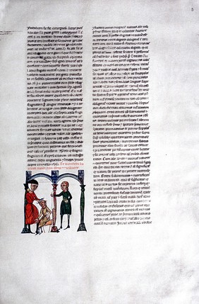 La chirurgia di M. Rolando da Parma detto dei Cappezzuti : riproduzione del codice latino n. 1382 della R. Biblioteca casanatense Roma / volgarizzamento e note del Giovanni Carbonelli.