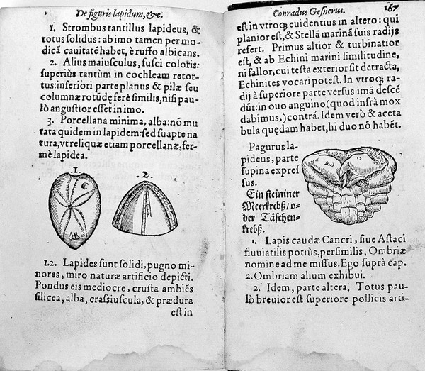 De omni rerum fossilium genere, gemmis, lapidibus, metallis, et hujusmodi, libri aliquot, plerique nunc primum editi ... / [Konrad Gesner].