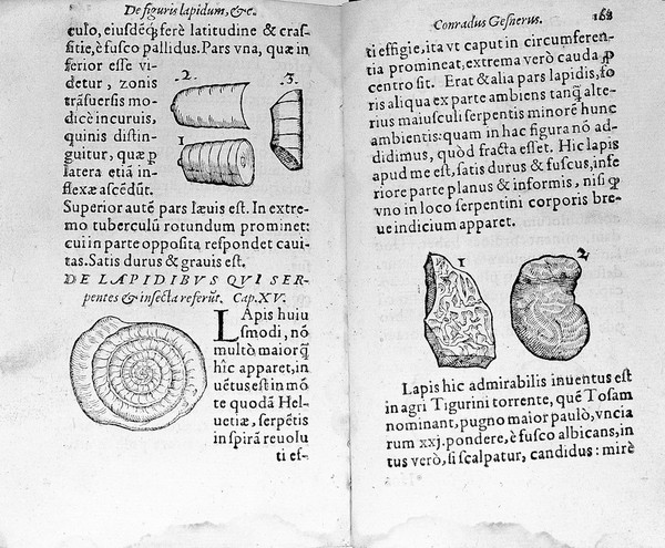 De omni rerum fossilium genere, gemmis, lapidibus, metallis, et hujusmodi, libri aliquot, plerique nunc primum editi ... / [Konrad Gesner].