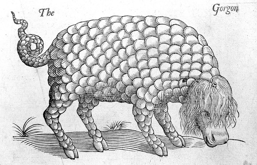 The historie of foure-footed beastes. : Describing the true and liuely figure of euery beast, with a discourse of their seuerall names, conditions, kindes, vertues (both naturall and medicinall) countries of their breed, their loue and hate to mankinde, and the wonderfull worke of God in theircreation, preseruation, and destruction. Necessary for all diuines and students, because the story of euery beast is amplified with narrations out of Scriptures, fathers, phylosophers, physitians, and poets: wherein are declared diuers hyerogliphicks, emblems, epigrams, and other good histories, collected out of all the volumes of Conradus Gesner, and all other writers to this present day / By Edward Topsell.