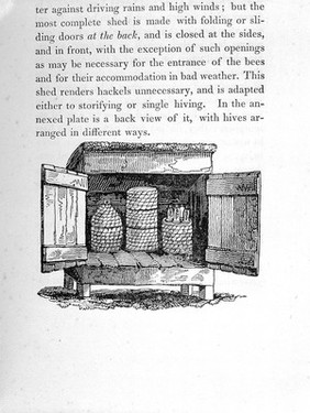 The honey-bee; its natural history, physiology and management / By Edward Bevan.