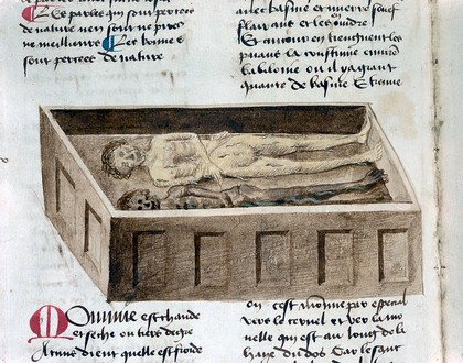 <i>Livre des simples médecines</i>, in French