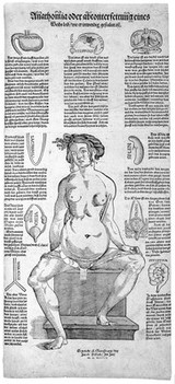 Anatomical Fugitive Sheet: 293.11