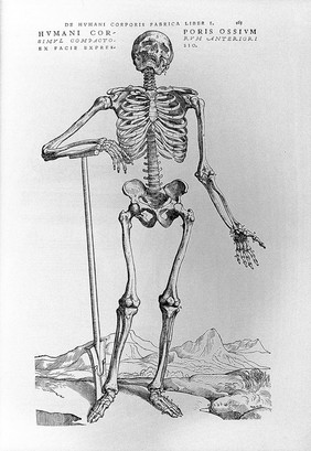 Andreae Vesalii Bruxellensis, scholae medicorum Patauinae professoris De humani corporis fabrica libri septem.