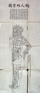 The Ming-t'ang t'u acupuncture charts.