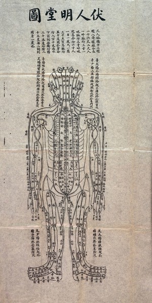 view The Ming-t'ang t'u acupuncture charts.