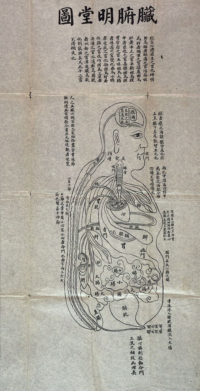 The Mingt'ang t'u acupuncture charts. Collection