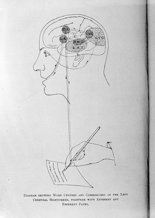 A treatise on aphasia and other speech defects / by H. Charlton Bastian.