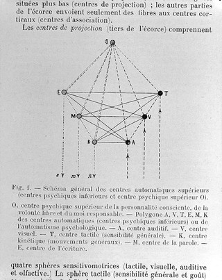 Anatomie clinique des centres nerveux / par le Dr. Grasset.