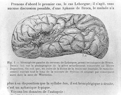 Travaux et mémoires / Pierre Marie.