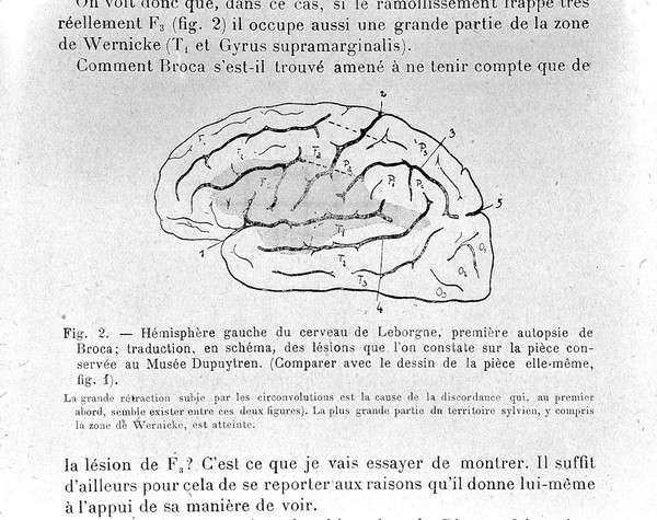 Travaux et mémoires / Pierre Marie.