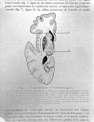 Travaux et mémoires / Pierre Marie.