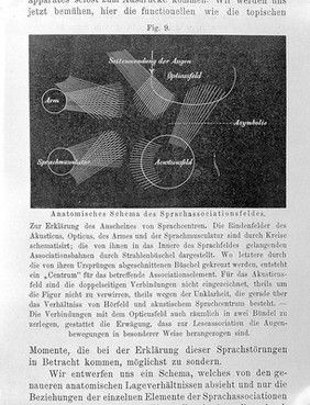 Zur Auffassung der Aphasien : eine kritische Studie / von Sigm. Freud.