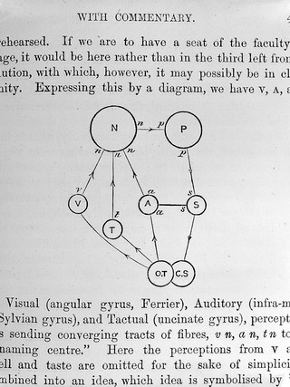 Brain : a journal of neurology.