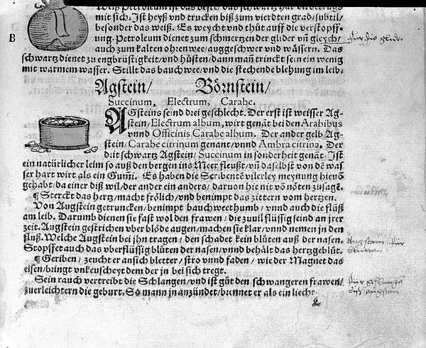 Kreuterbuch, neu zugericht, künstliche Conterfeytunge der Bäume, Stauden, Hecken, Kreuter, Getreyde, Gewürtze ... Item von fürnembsten Gethiern der Erden, Vögeln und Fischen; auch von Metallen, Gummi und gestandnen Säften / [Adam Lonicer].