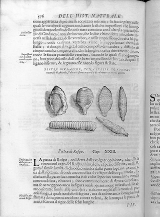 Historia naturale di Ferrante Imperato napolitano nella quale ordinatamente si tratta della diversa condition di minere, pietre pretiose, ed altre curiosità. Con varie historie di piante, ed animali, sin'hora non date in luce / [Ferrante Imperato].