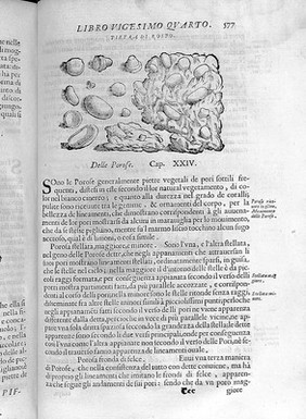 Historia naturale di Ferrante Imperato napolitano nella quale ordinatamente si tratta della diversa condition di minere, pietre pretiose, ed altre curiosità. Con varie historie di piante, ed animali, sin'hora non date in luce / [Ferrante Imperato].