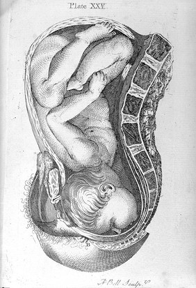 A set of anatomical tables with explanations and an abridgment of the practice of midwifery / [William Smellie].