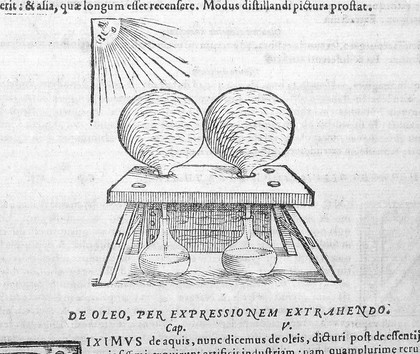 Magiae naturalis libri viginti / Ab ipso authore expurgati, & superaucti, in quibus scientiarum naturalium divitiae, & delitiae demonstrantur.