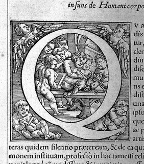 Andreae Vesalii Bruxellensis, scholae medicorum Patauinae professoris De humani corporis fabrica libri septem.