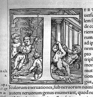 Andreae Vesalii Bruxellensis, scholae medicorum Patauinae professoris De humani corporis fabrica libri septem.