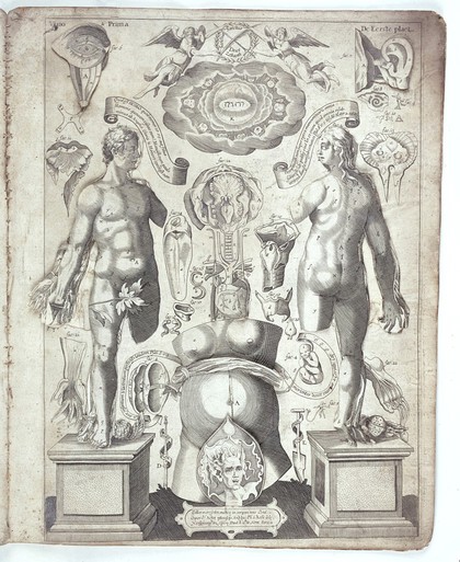 An exact survey of the microcosmus or little world : being an anatomie, of the bodies of man and woman wherein the skin, veins, nerves, muscles, bones, sinews and ligaments are accurately delineated. And curiously pasted together, so as at first sight you may behold all the outward parts of man and woman. And by turning up the several dissections of the paper take a view of all their inwards. With alphabetical referrences [sic] to every member and part of the body. Usefull for all doctors, chirurgeons, &c. As also for painters, carvers, and all persons that desire to be acquainted with the parts, and their names, in the bodies of man, or woman / [Johann Remmelin] ; Set forth by Michael Spaher of Tyrol ; And English'd by John Ireton ; And lastly perused and corrected, by several rare anatomists.