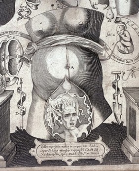 An exact survey of the microcosmus or little world : being an anatomie, of the bodies of man and woman wherein the skin, veins, nerves, muscles, bones, sinews and ligaments are accurately delineated. And curiously pasted together, so as at first sight you may behold all the outward parts of man and woman. And by turning up the several dissections of the paper take a view of all their inwards. With alphabetical referrences [sic] to every member and part of the body. Usefull for all doctors, chirurgeons, &c. As also for painters, carvers, and all persons that desire to be acquainted with the parts, and their names, in the bodies of man, or woman / [Johann Remmelin] ; Set forth by Michael Spaher of Tyrol ; And English'd by John Ireton ; And lastly perused and corrected, by several rare anatomists.